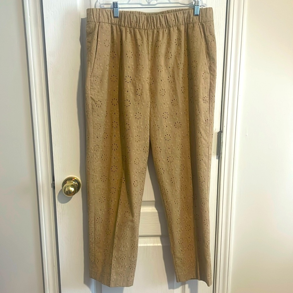 Ann Taylor Eyelet Pants